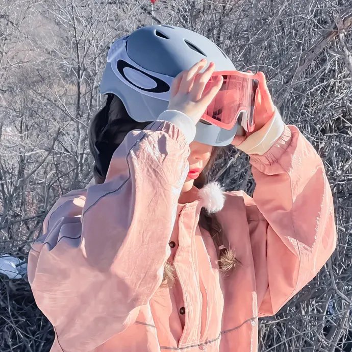 法洛丽亚雪山索道 海报